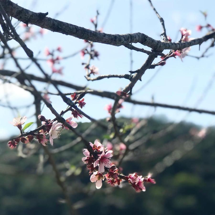 Casa Na Montanha Em Condominio De Alto Padrao 아찌바이아 외부 사진